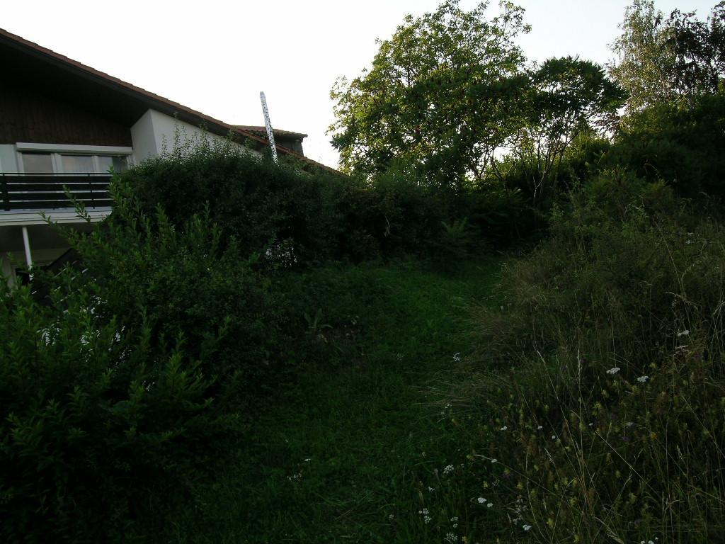 Noahs Arche Pension Pottenstein Zewnętrze zdjęcie
